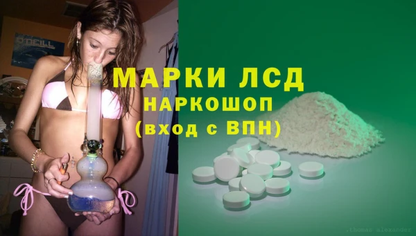 прущие крисы Коряжма