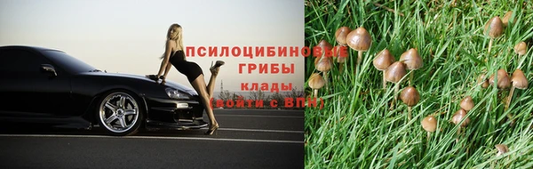 тгк Балахна