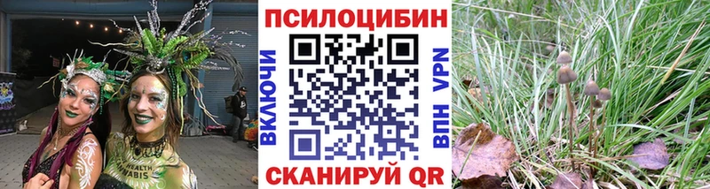 Псилоцибиновые грибы Cubensis  Бобров 